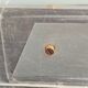 Vintage Roche Bobois plexiglass magazine door