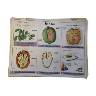 Rossignol educational poster