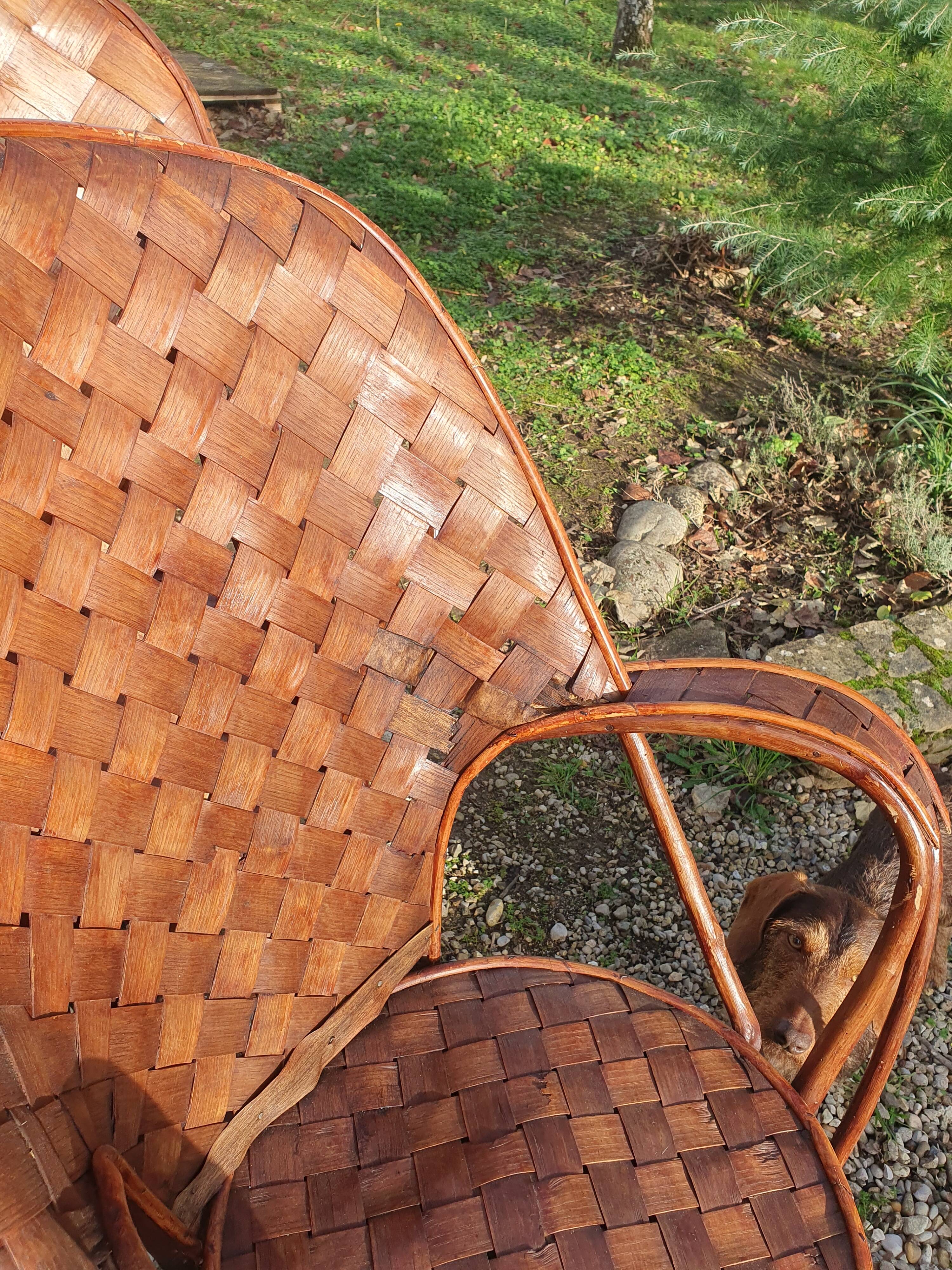 Pair of armchairs in chestnut