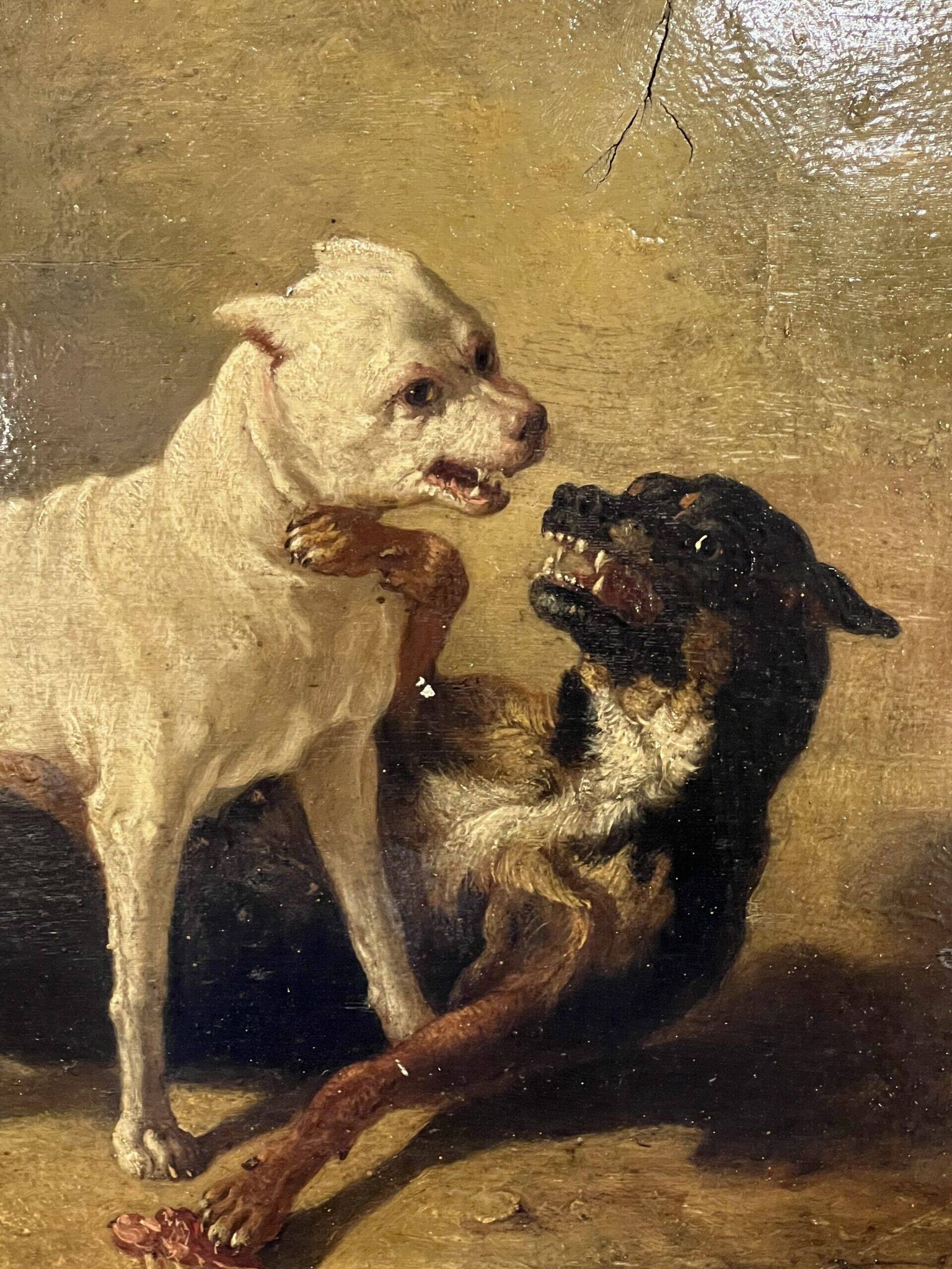 Jean Baptiste Louis Guy? Oil on panel, two bulldogs fighting