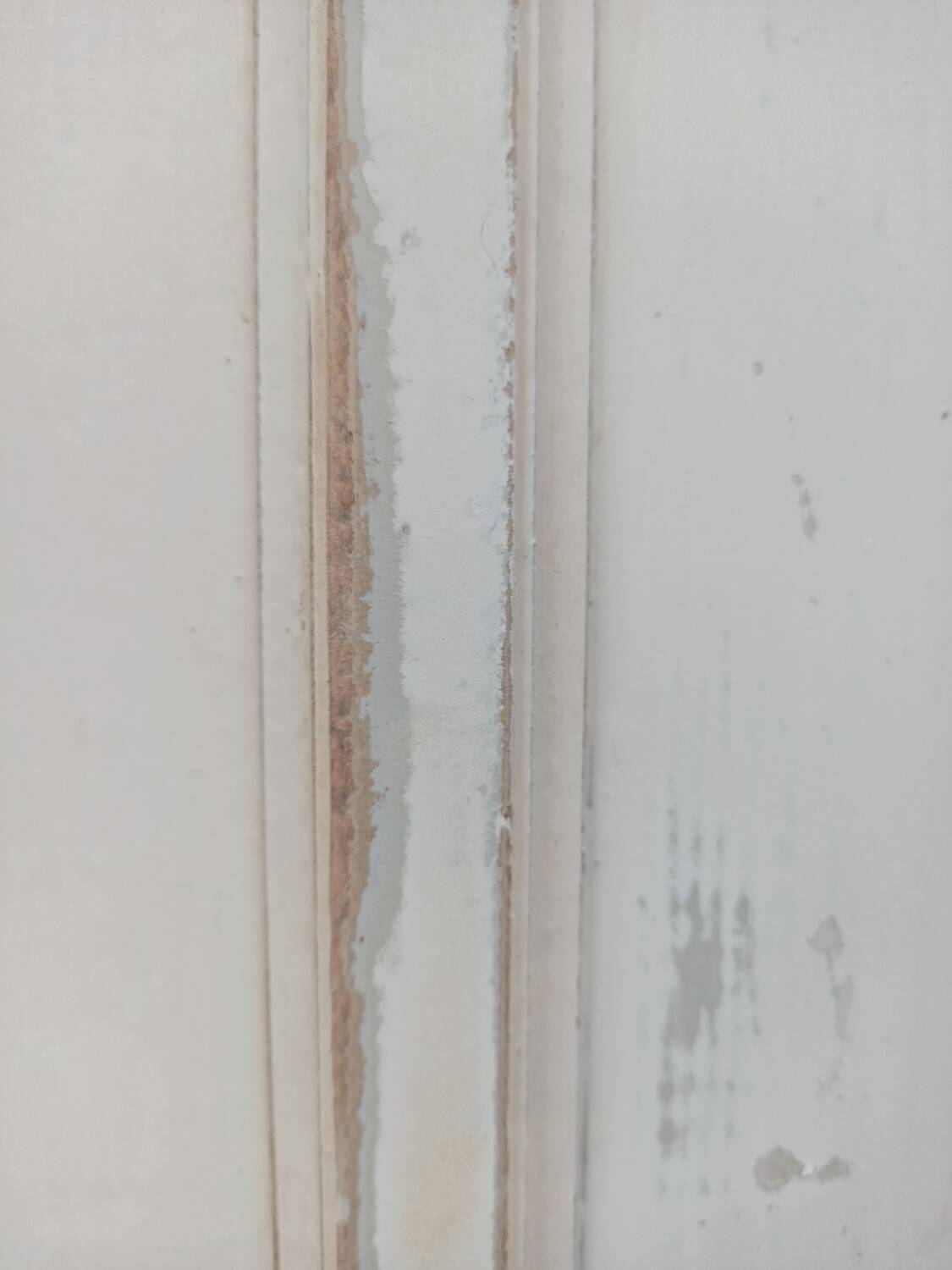 XXL Parisian wardrobe