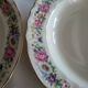 Limoges Bernardaud 5 Deep Plates in porcelain