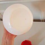 Pitcher Arcopal Lotus