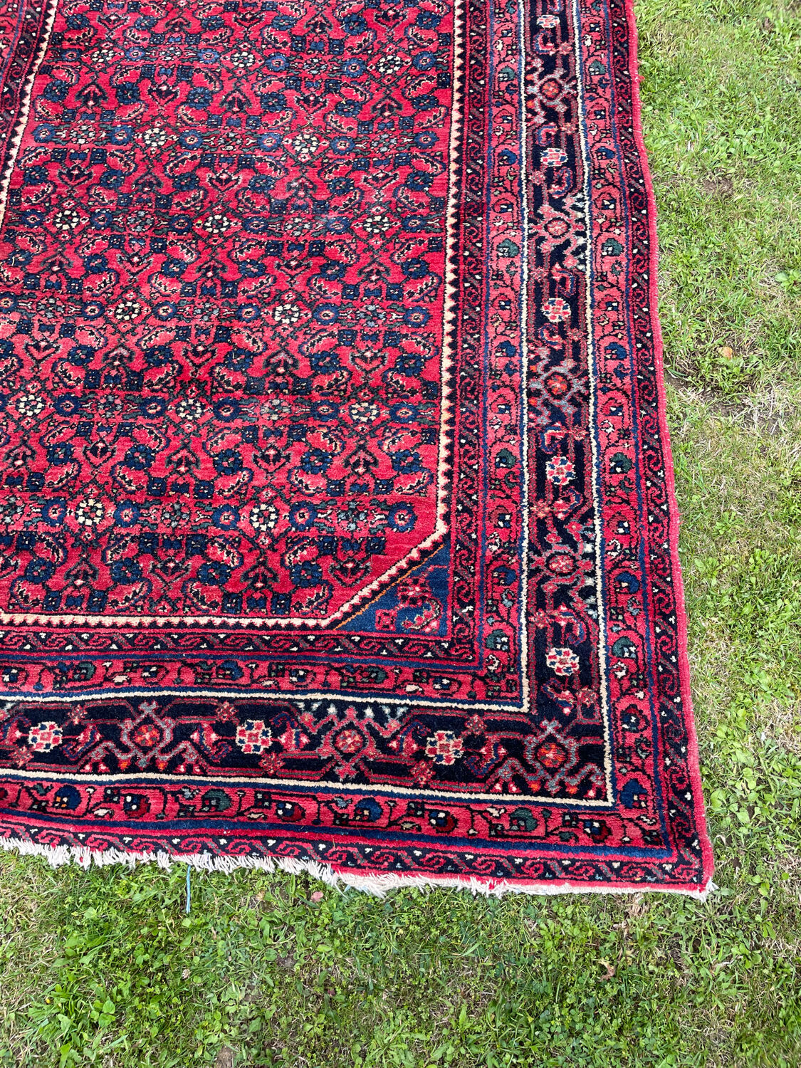 Oriental carpet