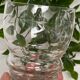 Set de 6 verres à eau en verre gravé