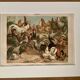Lithograph engraving of hens and roosters – 1890