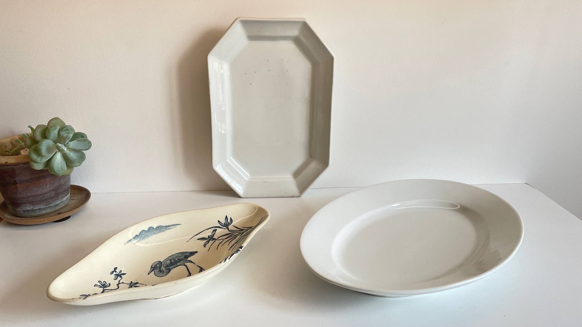 3 Presentation Dishes Terre de Feu KG LUNEVILLE – France