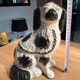 Pair of Staffordshire-type ceramic dogs - King Charles - 20th century