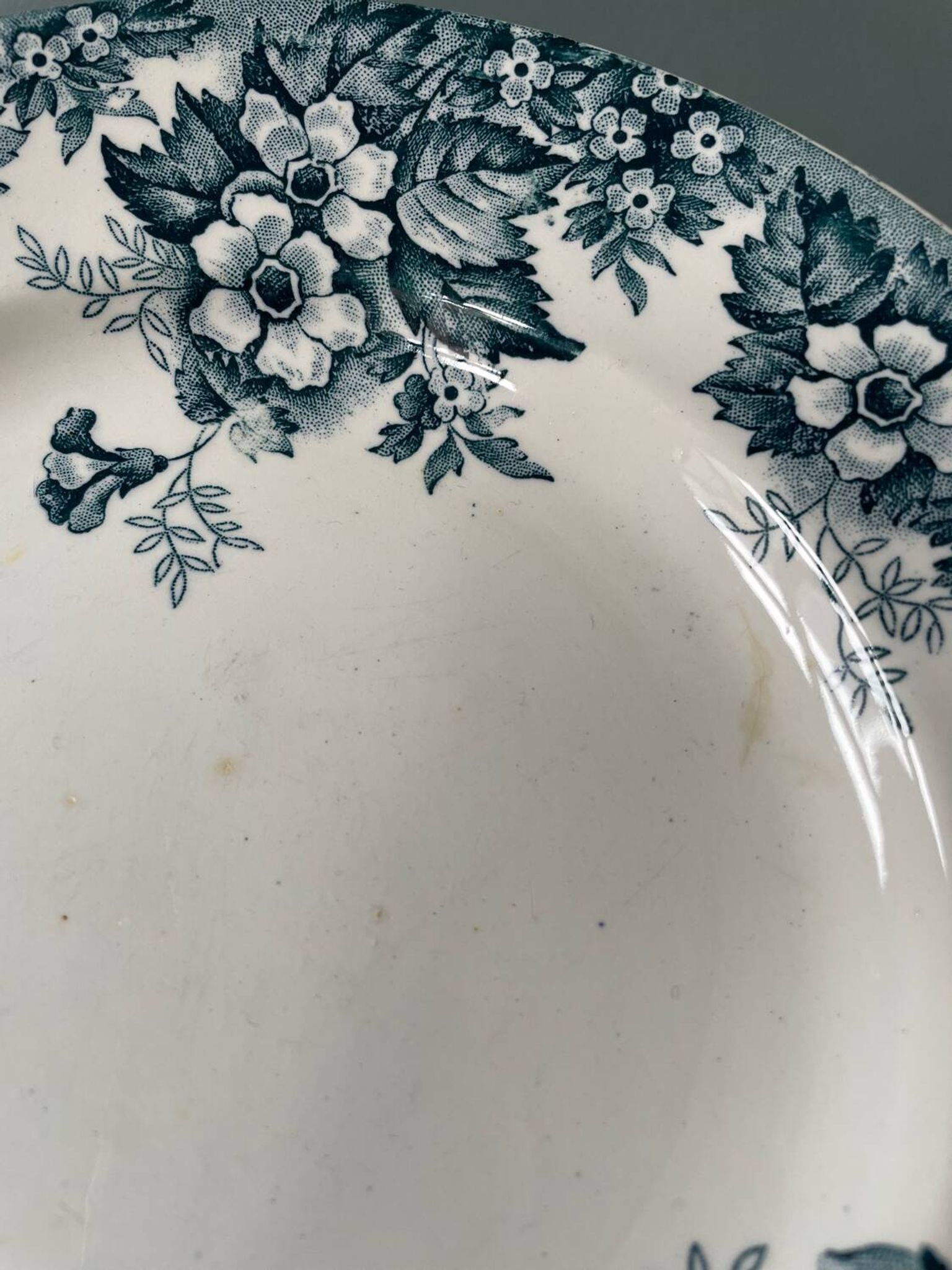 Series of 9 flat plates Terre de Fer “Marie-Louise” St Amand and Hamage