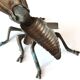 Fly-shaped ashtray, 50s