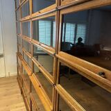 Large Globe Wernicke Bookcase