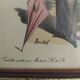 Framed fashion print