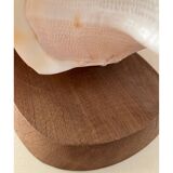 Lampe coquillage