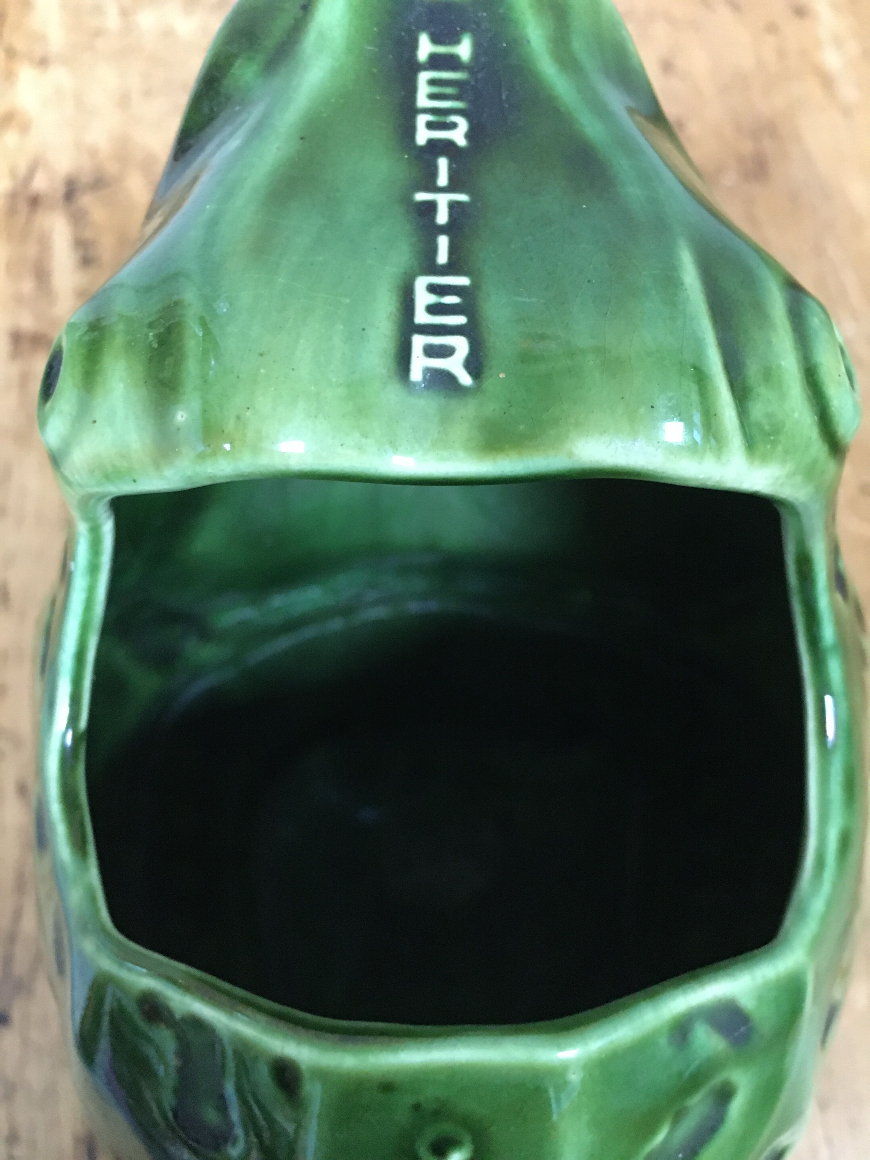 Pitcher frog the heir guyot