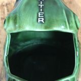 Pitcher frog the heir guyot