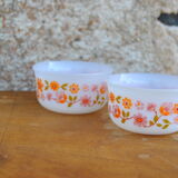 Series of 4 Scania and Veronica ramekins from Arcopal 70s/80s