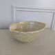 Shell bowl