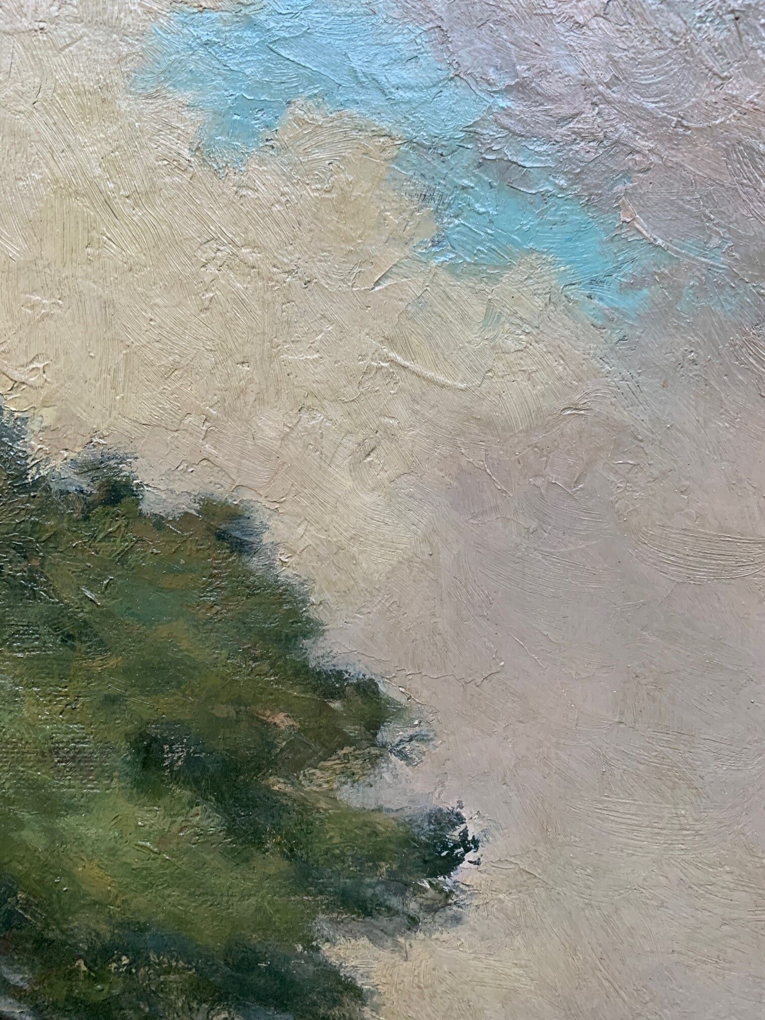 Table "The forest landscape".