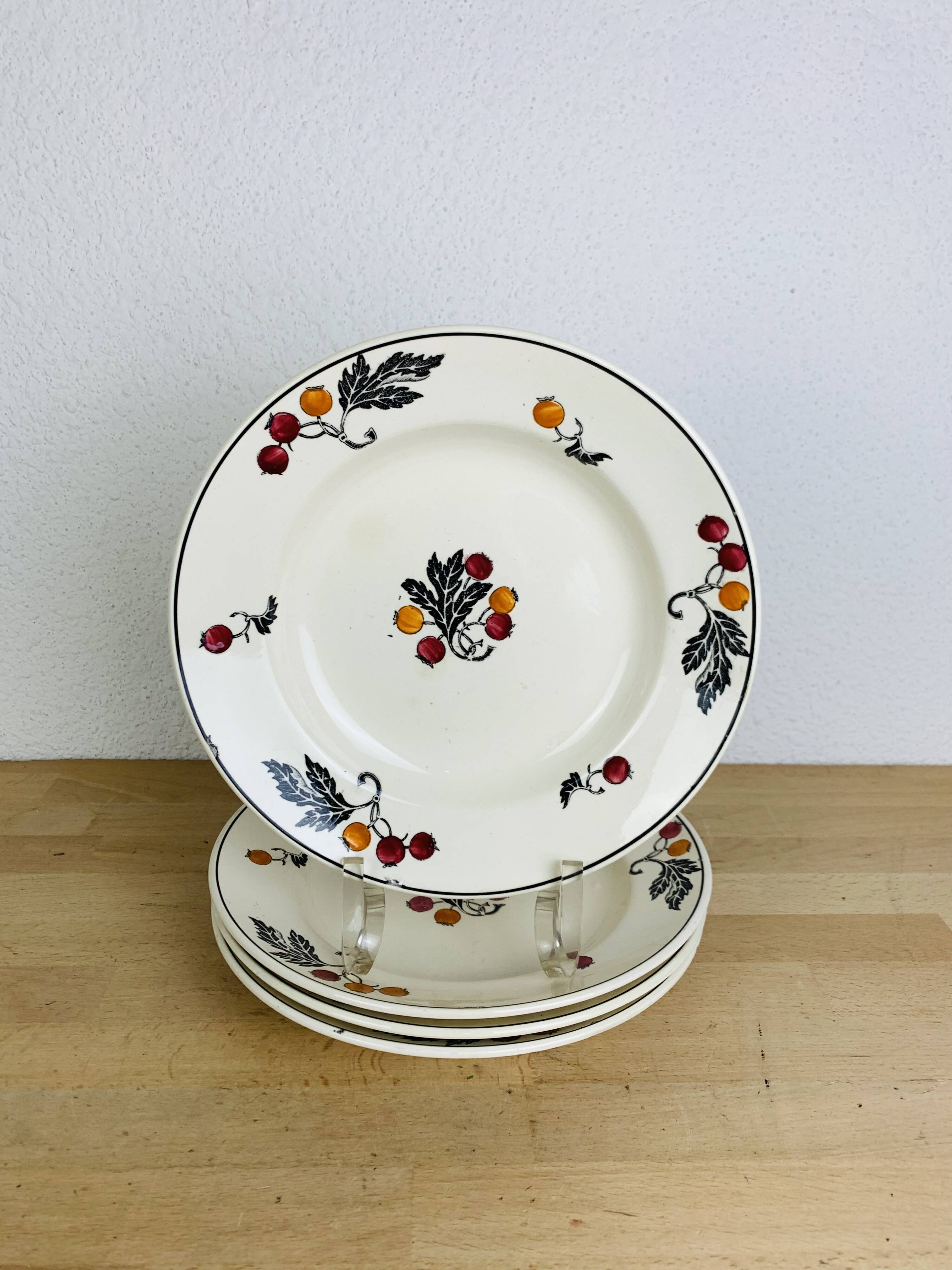 4 Longchamp iron earth soup plates, Aubépine model