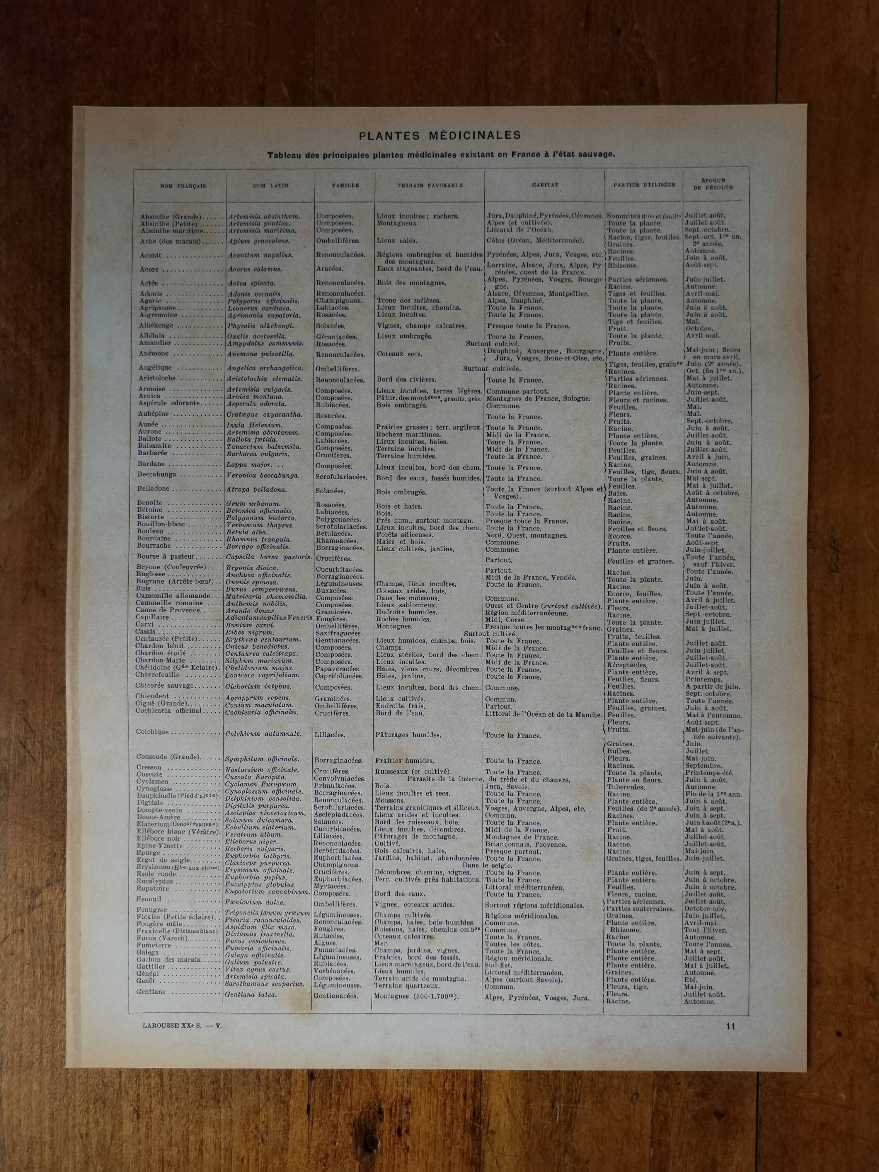 Original lithograph on medicinal plants (1)