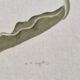 La Roche Laffitte (Born in 1943) - Watercolour drawing on silk - Tulip
