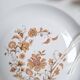 Limoges porcelain plate