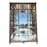 Vintage library/display cabinet mid 19th century