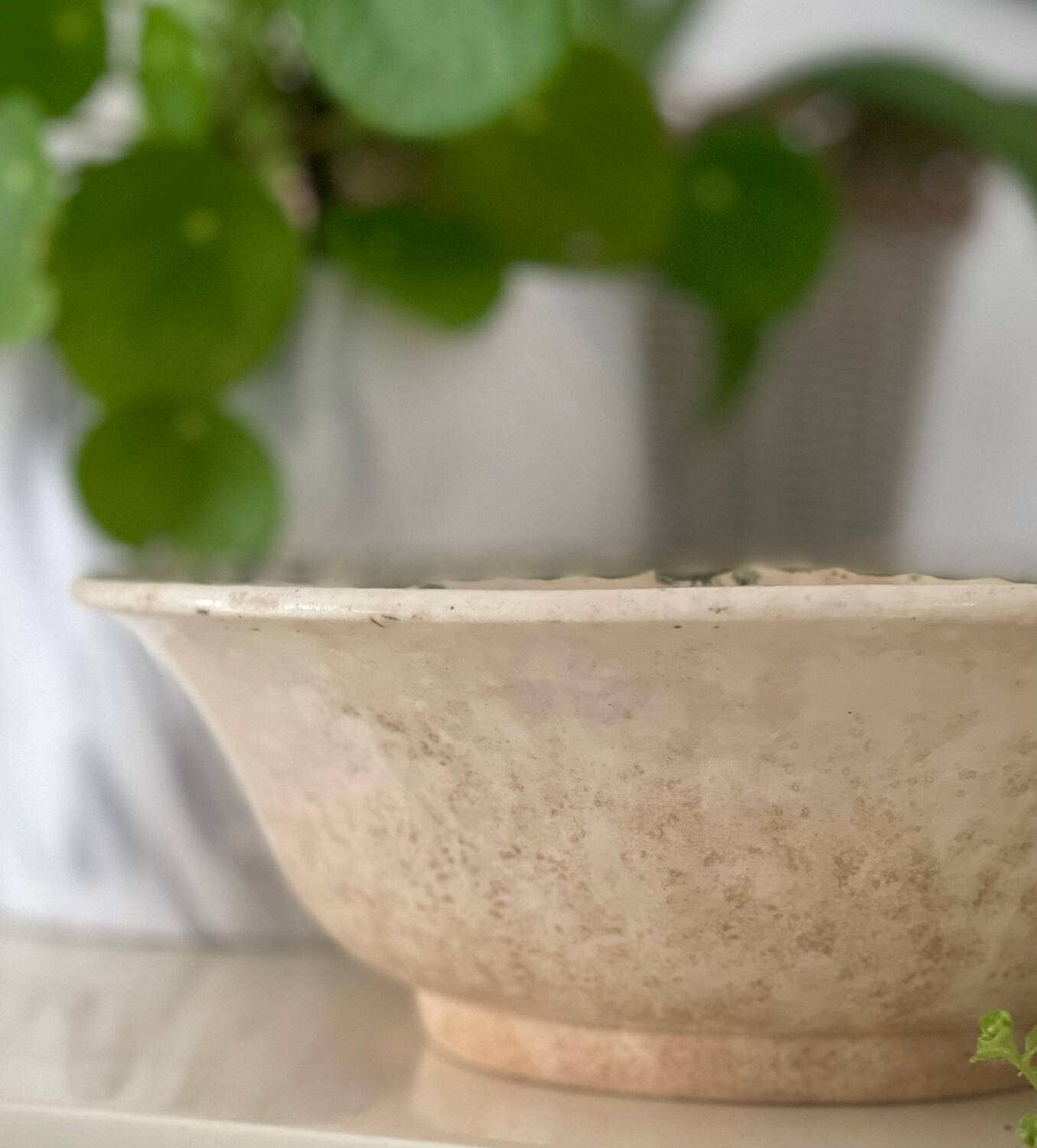 Old iron earth salad bowl