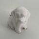 Cache pot chien en porcelaine blanc vintage