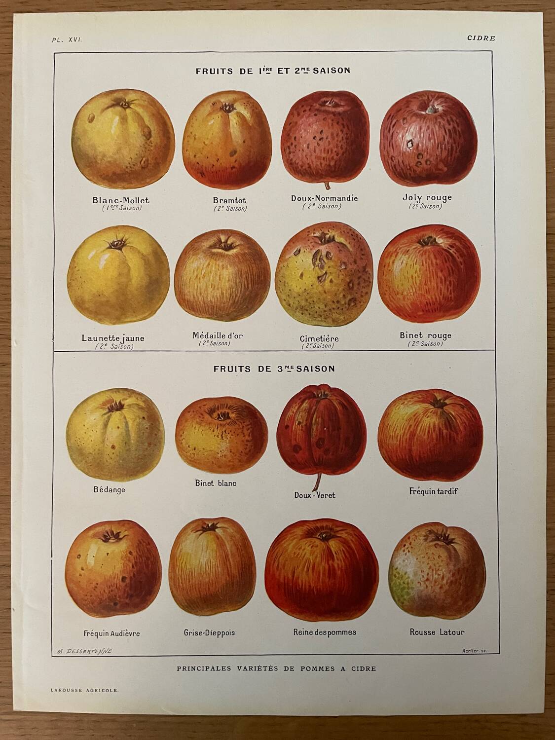 Reserved Laurence - Set of 3 lithos on apples and pears 20th century