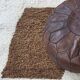 Modern handmade rug from Morocco - 303 x 255 cm