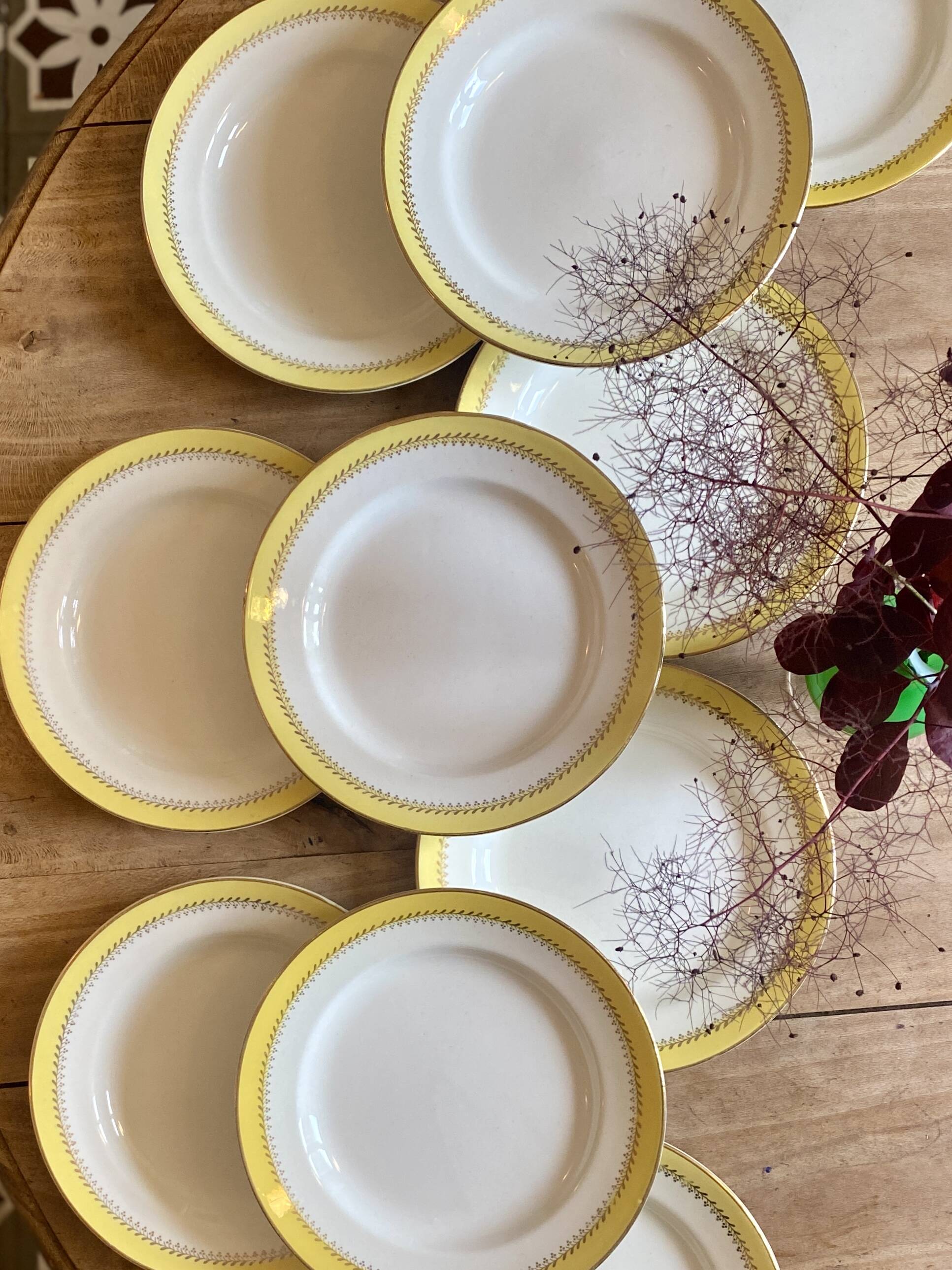 Set of 10 vintage Biarritz yellow, white and gold flat plates