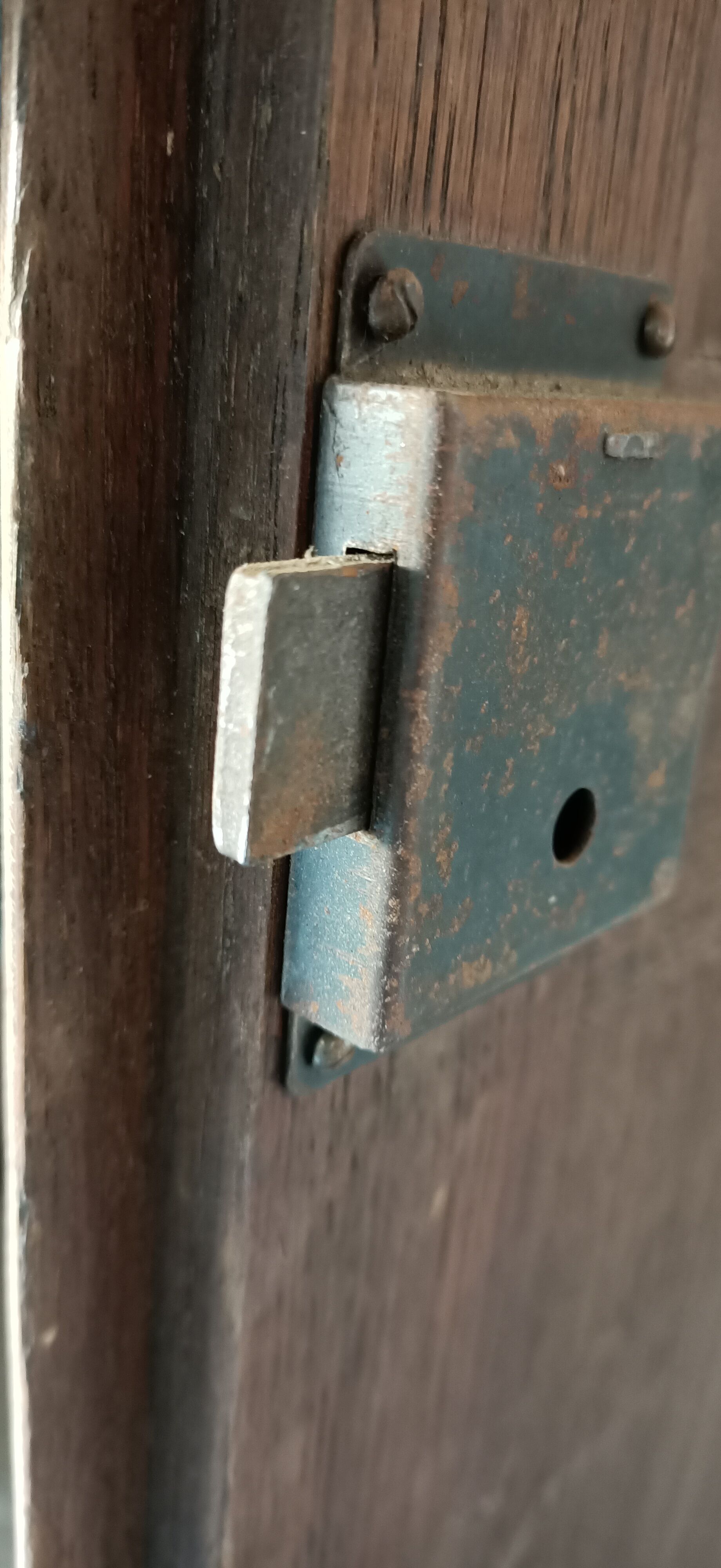 2 antique closet doors