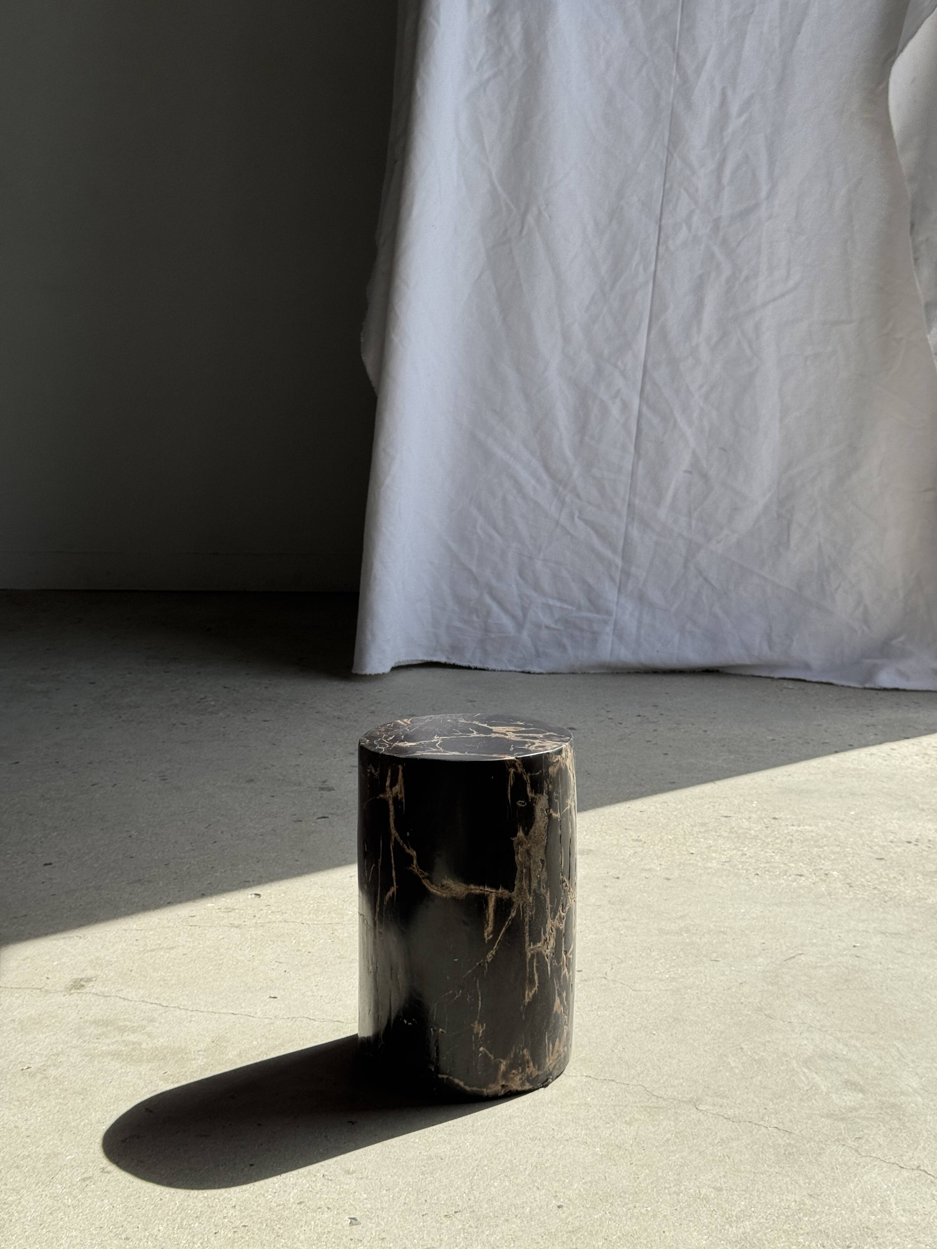 Table d'appoint en bois pétrifié noir