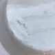 Ancient Plate Deco Ceramics White Drawings Flowers Painted Vintage