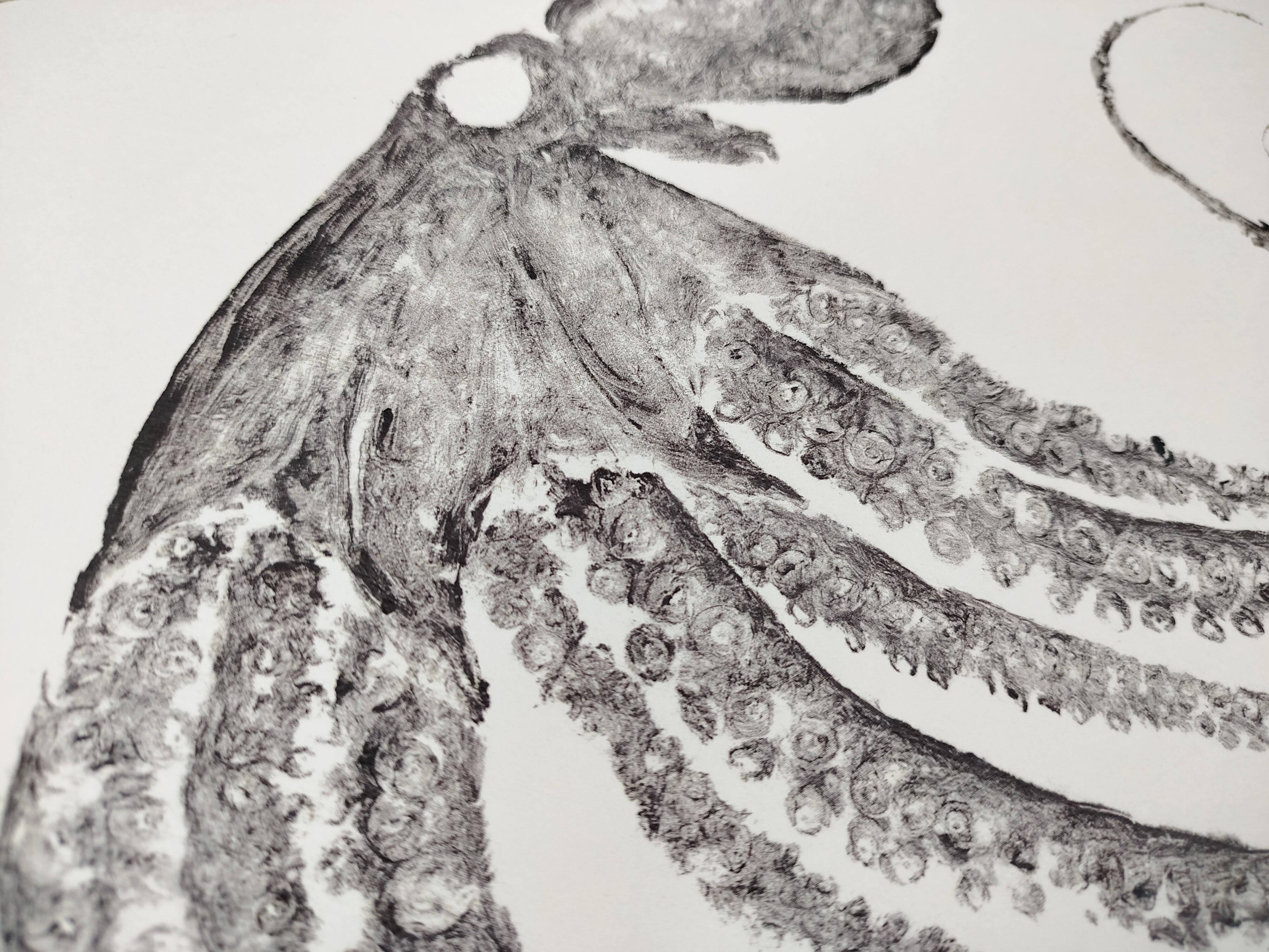 Framed art print, "Octopus Print" (gyotaku)