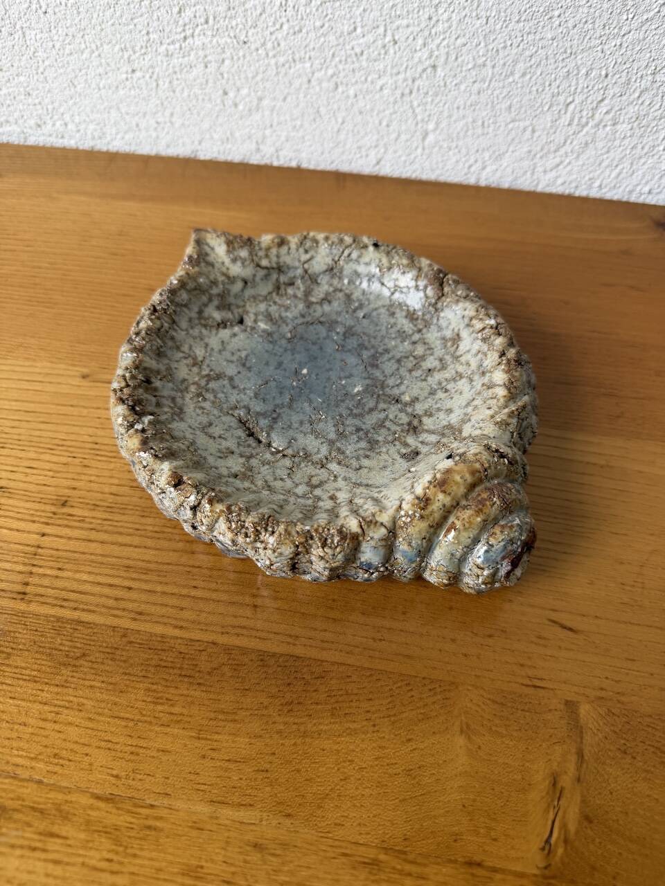 Shell-shaped ceramic glazed catchall