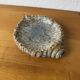Shell-shaped ceramic glazed catchall