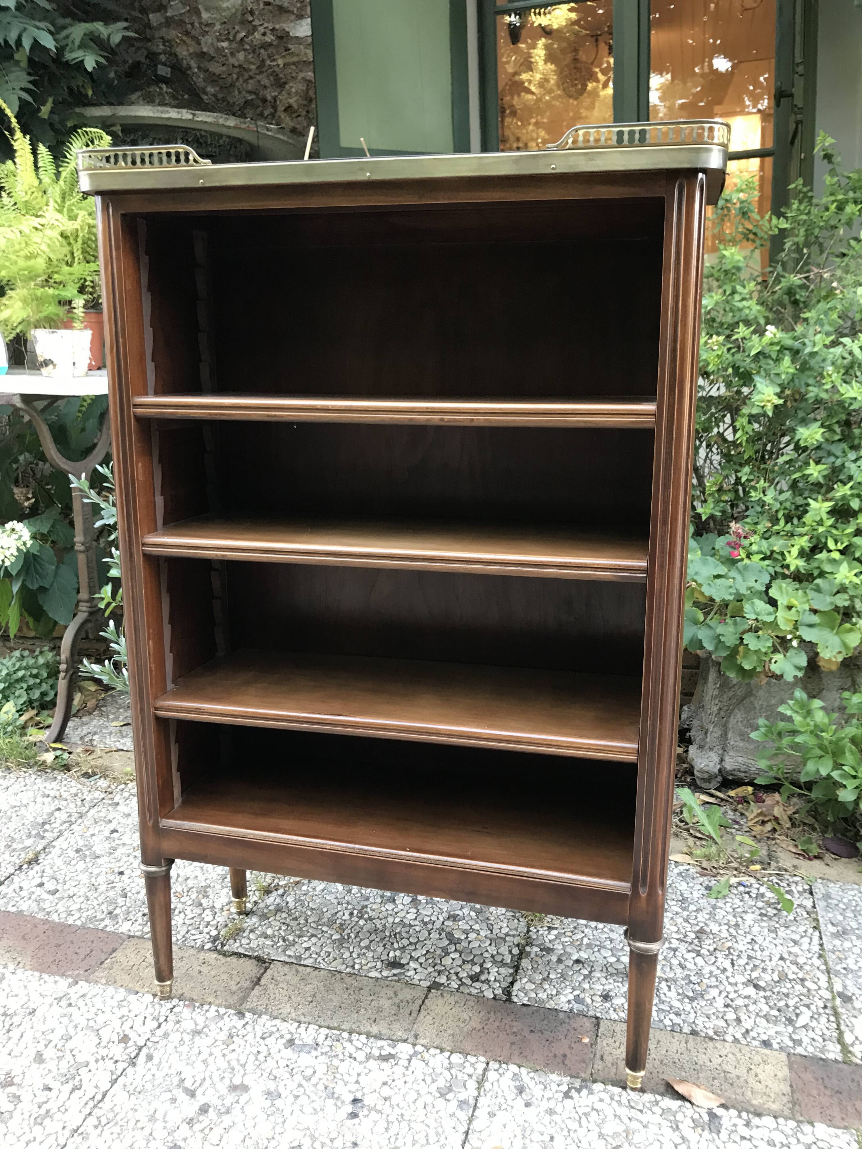 Louis XVI-style bibus library