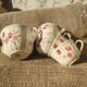 Ensemble 4 tasses et un sucrier Badonviller Floral