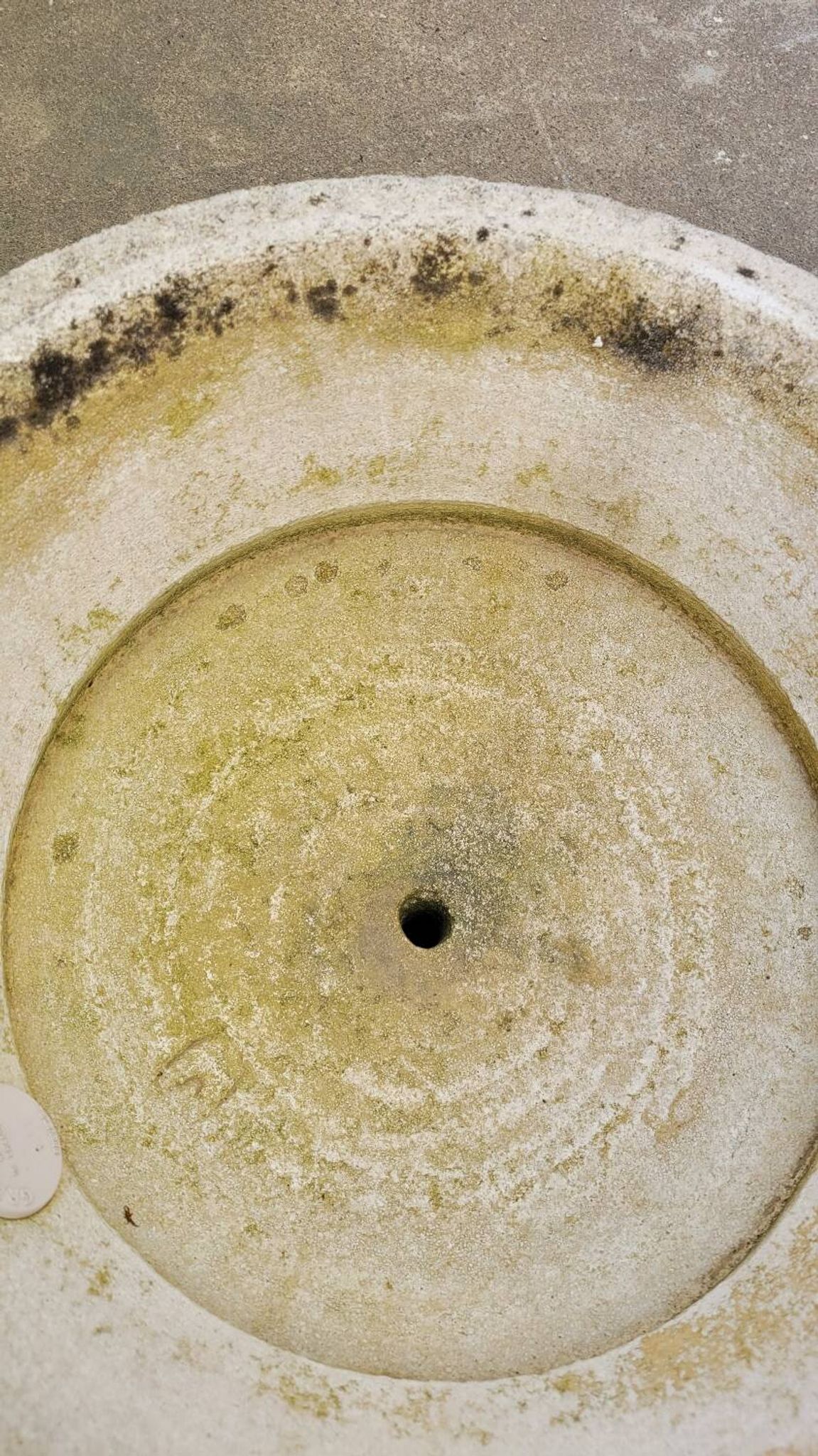 Pair of medicis vases in old reconstituted stone 1950s