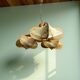 Chandelier en bois rustique