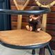 Chaise écolier enfant vintage de Jacques Hitier