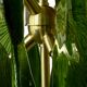 Midmodern Style Italian Brass Pendant Lamp with Bright Green Murano Glass Slabs