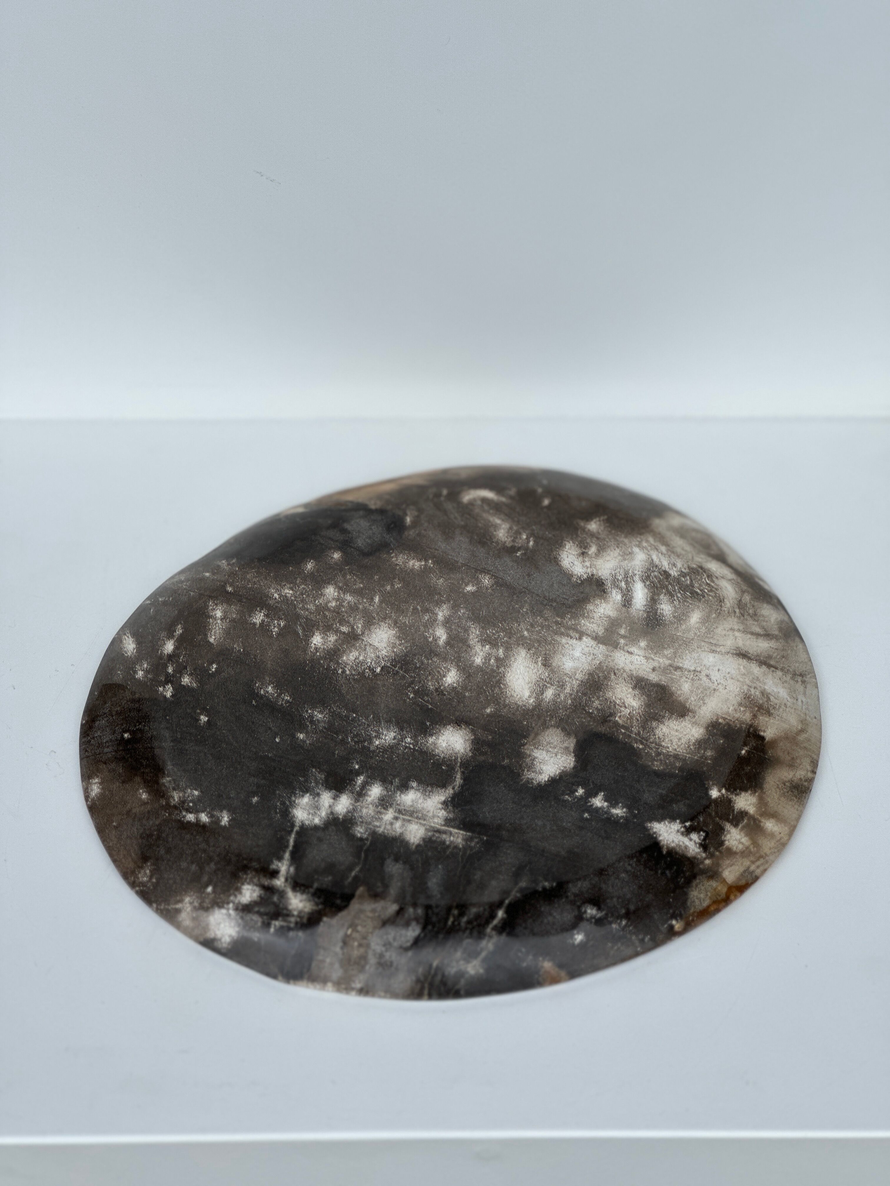 Dish in petrified wood