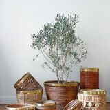 Bamboo and brass basket