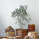Bamboo and brass basket