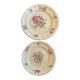 Set of 2 decorative floral plates