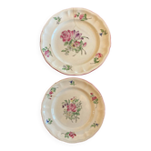Lot de 2 assiettes décoratives aux fleurs