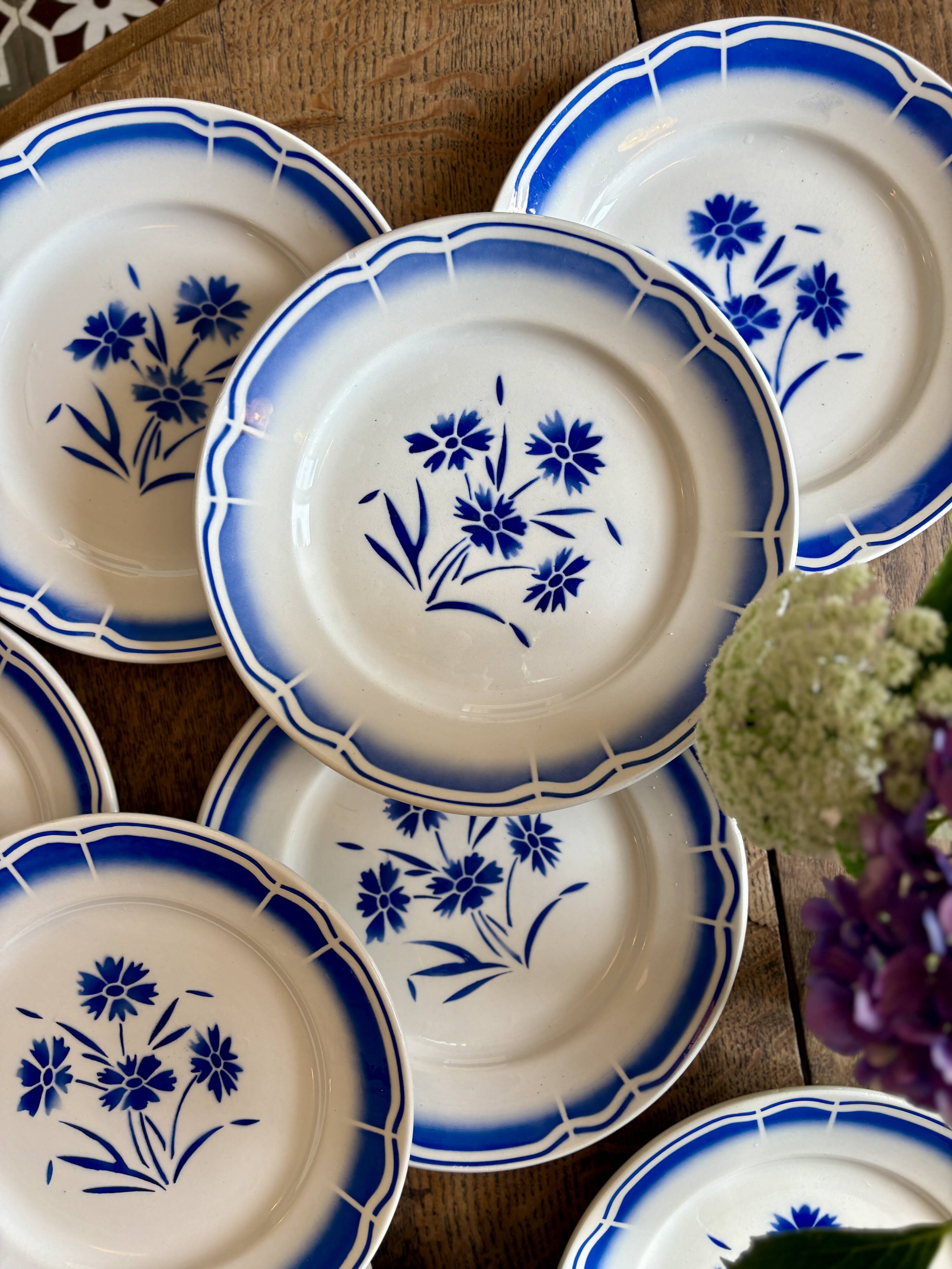 Set of 12 antique flat plates, blue flower decorations